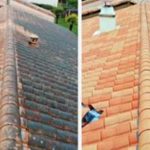 Nettoyage toiture 01